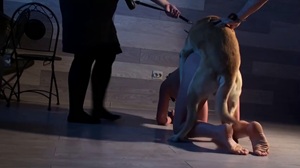 Зоофилическая любовь с русской студенткой в потемках