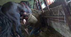 Фигуристая девица из России обожает грубую долбежку с конем